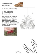 Caligae_Schnittmuster_43_Rechts.pdf